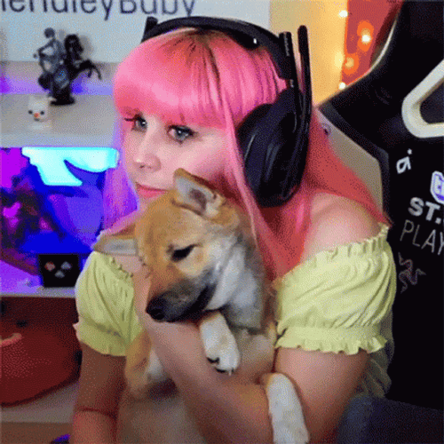 The Haley Baby Gamer Petting Her Dog GIF