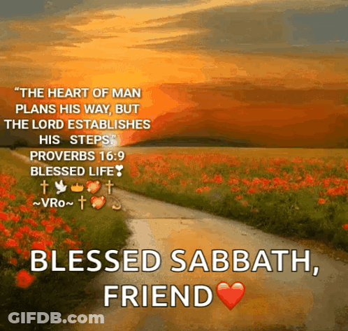 The Heart Of Man Plans His Way But The Lord Establishes His Steps Proverbs 16.9 Blessed Life GIF