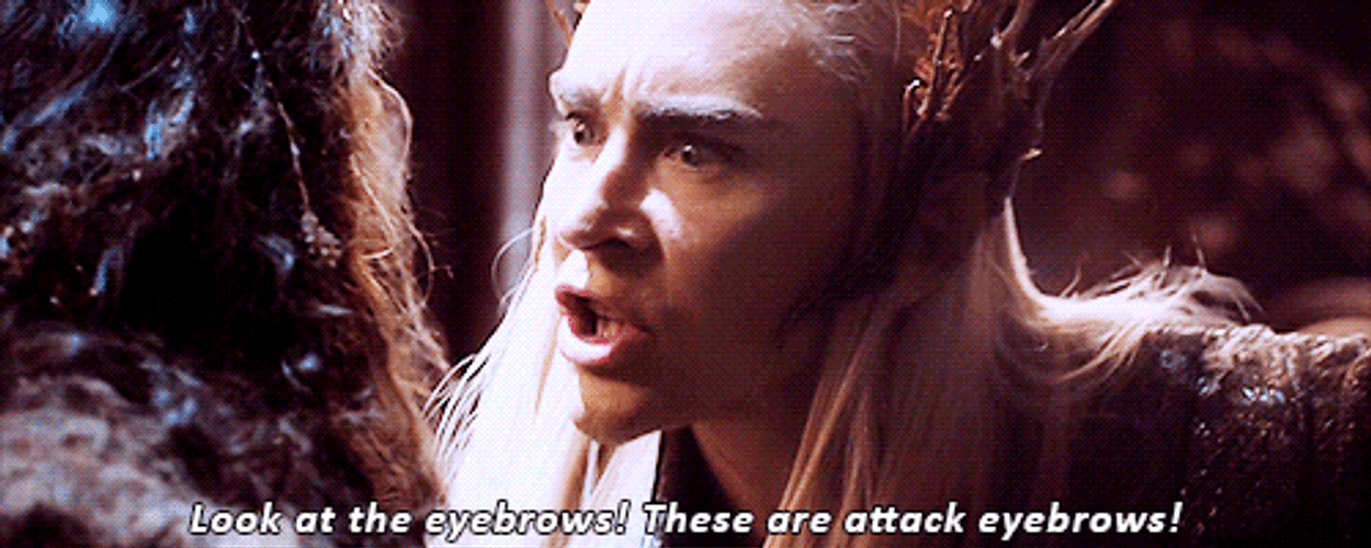 The Hobbit Look At The Attack Eyebrows GIF