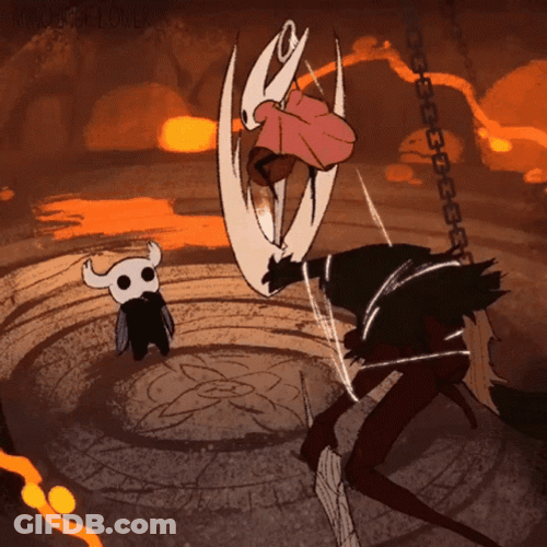 The Hollow Knight Watching Hornet GIF