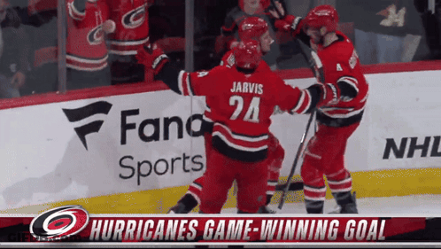 The Hurricanes Hockey Team Celebrates A Game Winning Goal GIF