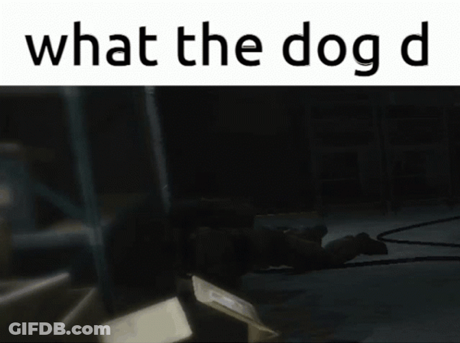 The GIF