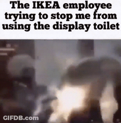 The Ikea Employee Is Trying To Stop Me From Using The Display Toilet .. GIF