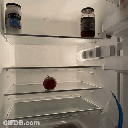 The Inside Of An Empty Refrigerator With A Jar Of Hellmans Light Mayonnaise GIF