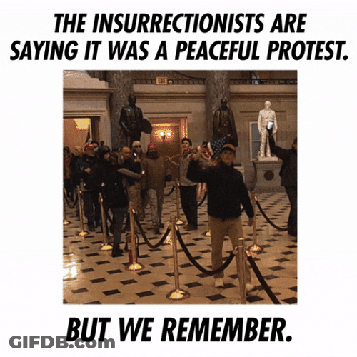 The Insurrectionist Riot To Remember GIF