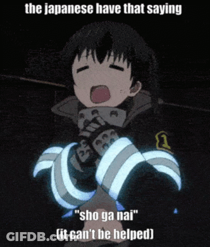 The Japanese Have That Saying Sho Ga Nai It Can 'T Be Helped GIF