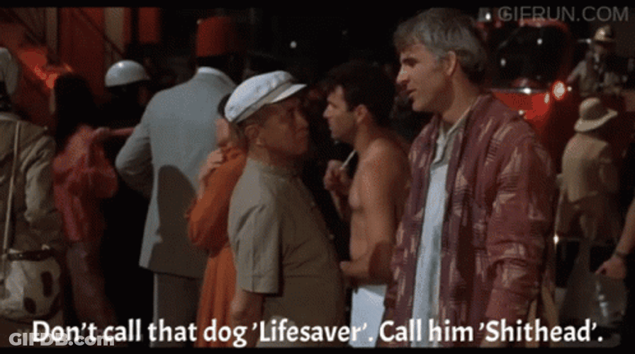 The Jerk Don't Call The Dog Lifesaver GIF