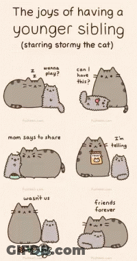 The Joys Of Having A Younger Sibling Starring Stormy The Cat Are Illustrated GIF