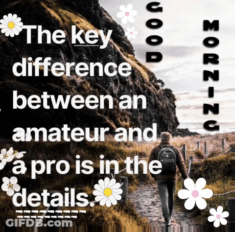 The Key Difference Between An Amateur And A Pro Is In Details GIF