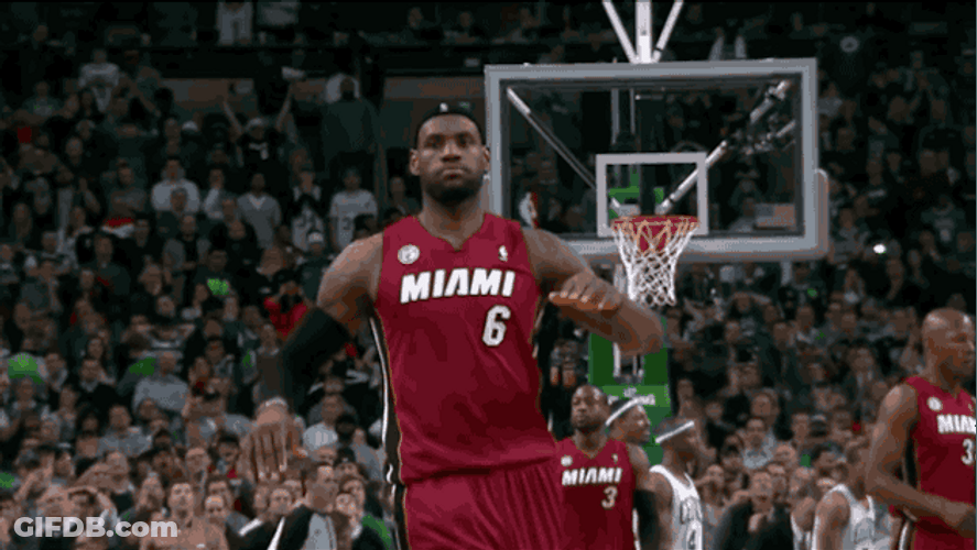 The King LeBron James GIF