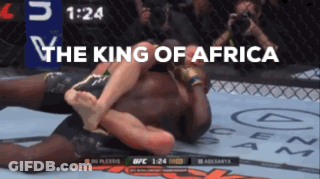 The King Of Africa Is Shown On A Boxing Match GIF