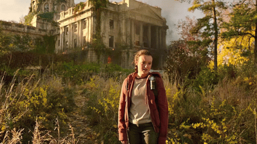 The Last Of Us Lonely Place GIF