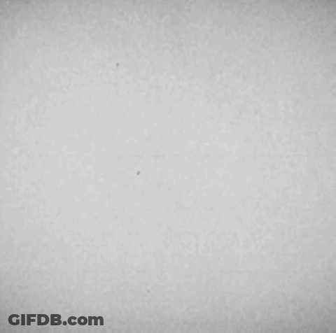 The Letter X Is In A Circle With Flowers And Leaves GIF
