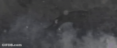 The Letters Mhbzb Are Glowing In The Dark GIF