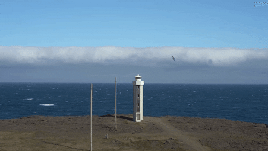 The Lighthouse Embrace Beauty GIF