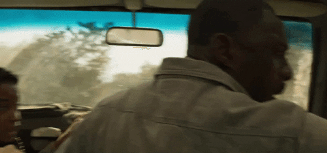 The Lion Beast Found The People GIF
