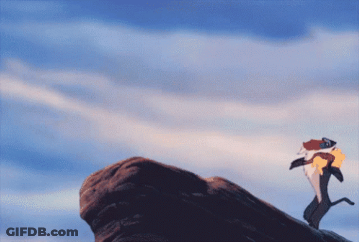 The Lion King Circle Of Life GIF