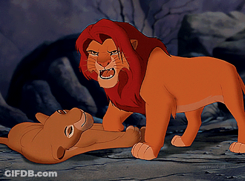 The Lion King Disney GIF