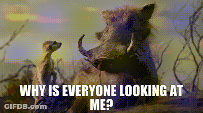 The Lion King Pumbaa GIF