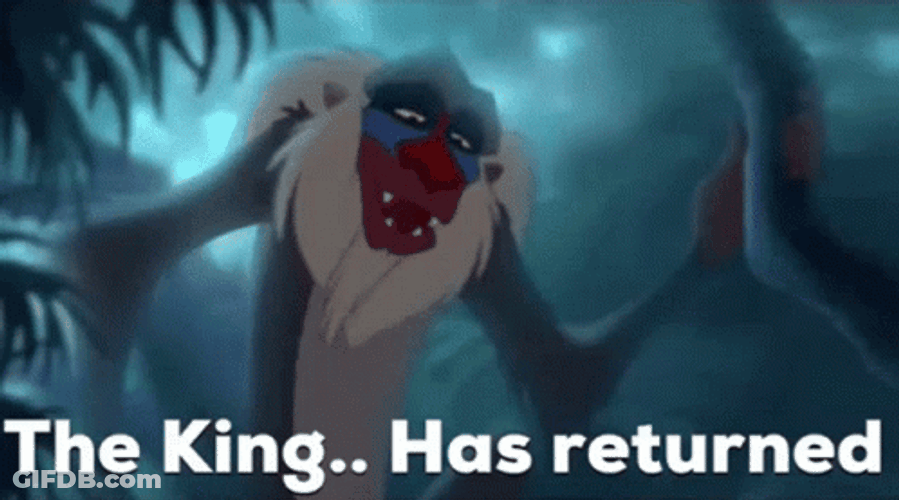The Lion King Rafiki GIF