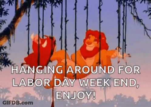 The Lion King Simba And Timon Are Swinging On A Tree Branch . GIF