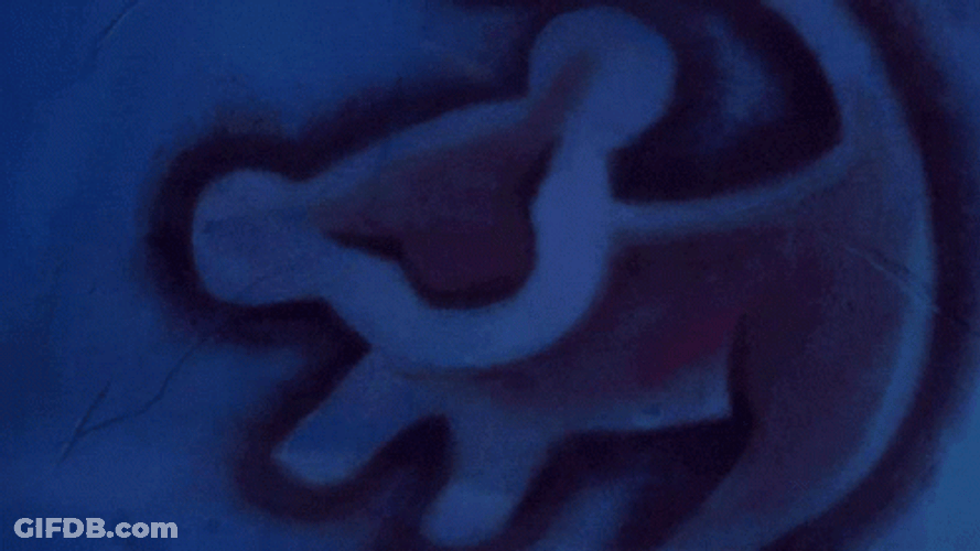 The Lion King Simba It Is Time GIF