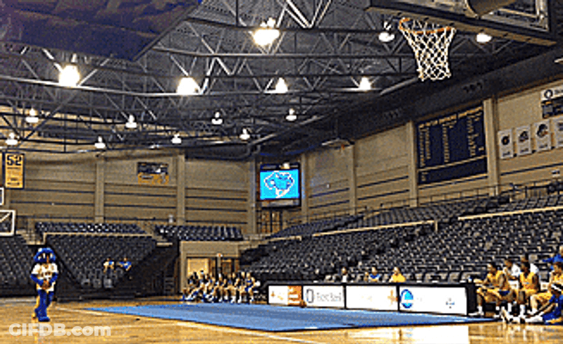 The Mascot Made Missed Shot GIF