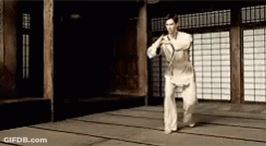 The Matrix Kung Fu Training GIF