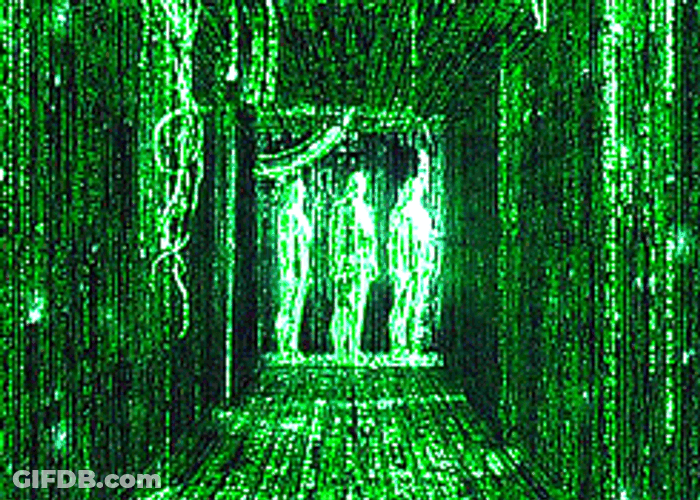 The Matrix Rain Of Codes GIF