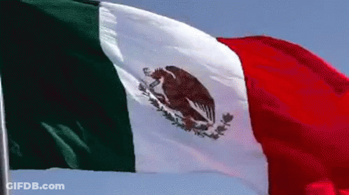 The Mexican Flag Is Waving In The Wind With A Blue Sky In The Background . GIF
