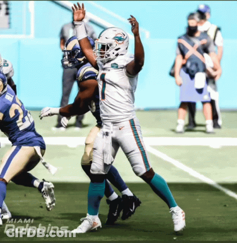 The Miami Dolphins Are Playing Against The San Francisco 49Ers GIF