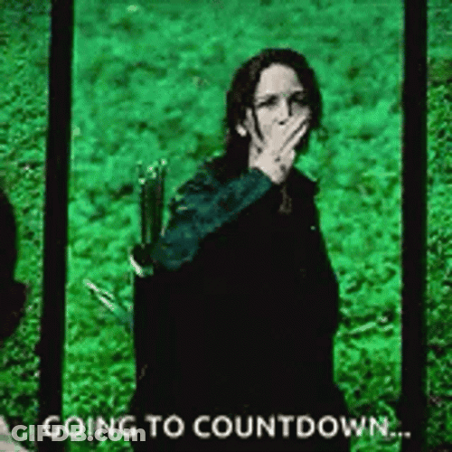 The Mocking Jay Final Countdown GIF