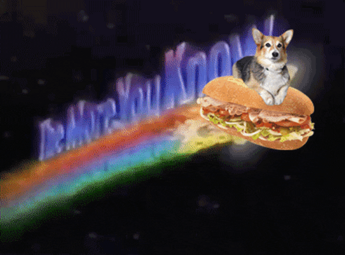The More You Know Dog Meme GIF