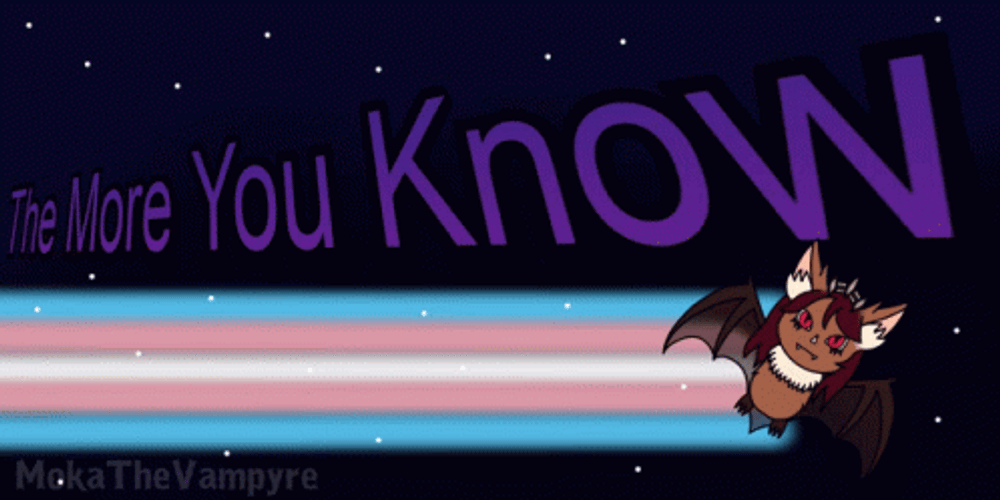 The More You Know Vampire Bat GIF