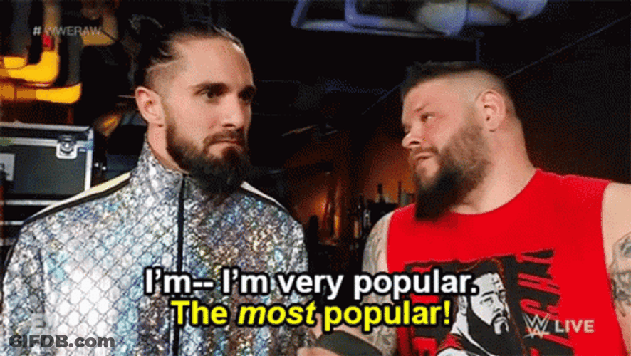 The Most Popular We Seth Rolins GIF