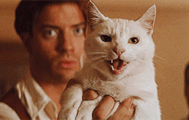 The Mummy Arnold Vosloo Turns To Sand GIF