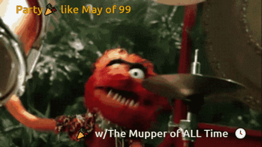The Muppets Animal Of All Time GIF