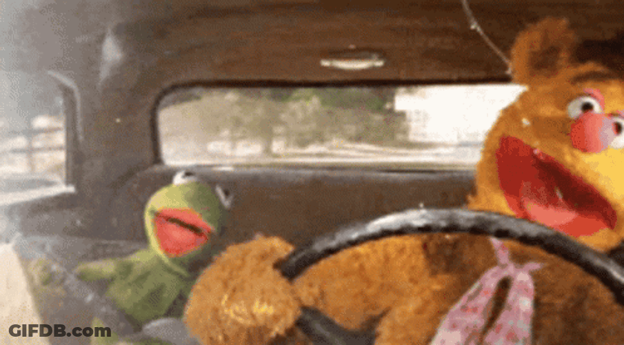 The Muppets Crazy Driving GIF