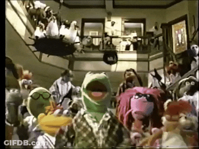 The Muppets Family Partying GIF