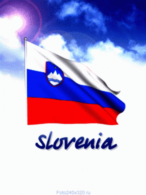 The National Flag Of Slovenia GIF