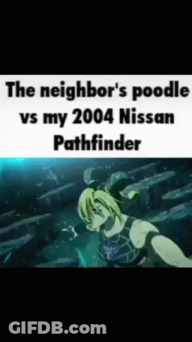 The Neighbor 'S Poodle Vs My 2004 Nissan Pathfinder Is A Meme GIF