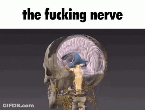 The Nerve The Fucking Nerve GIF