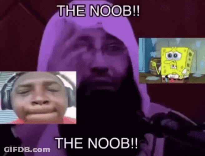 The Noob The Noob GIF