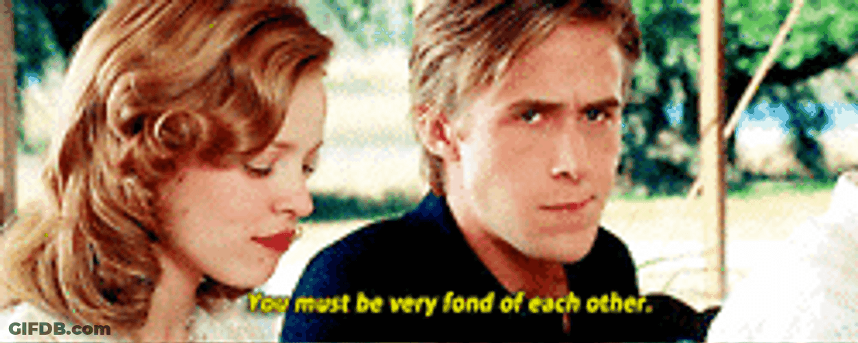 The Notebook Fond Of Each Other Line GIF
