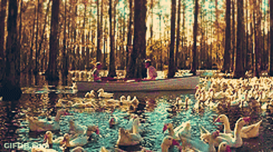 The Notebook Swan Lake Scene GIF