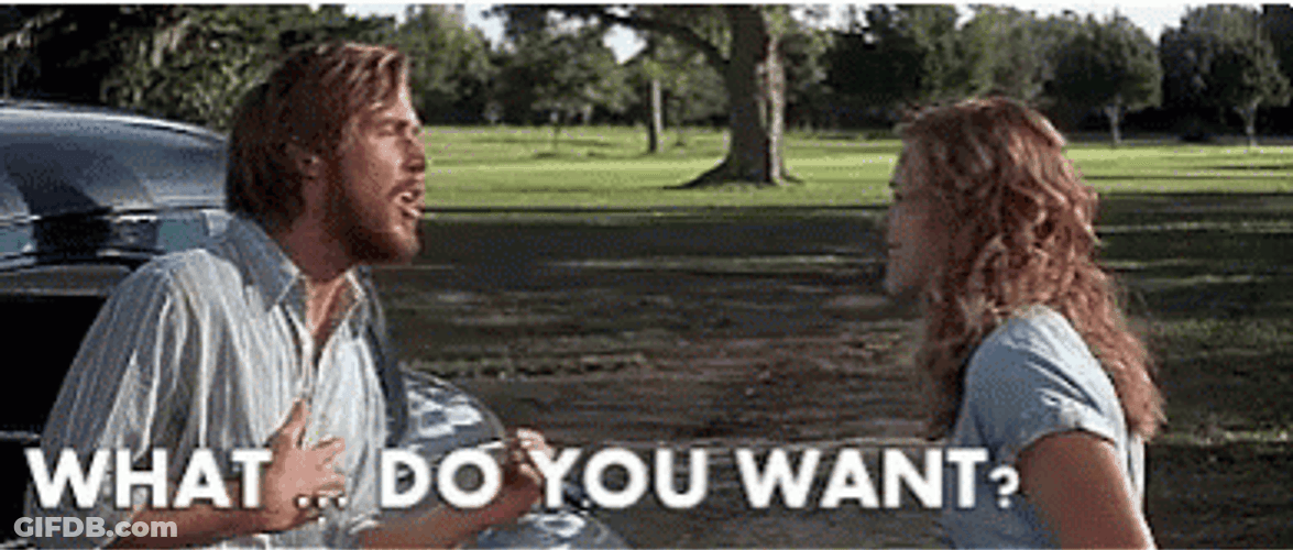The Notebook What Do You Want Scene GIF
