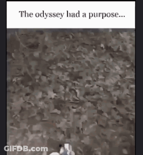 The Odyssey Had A Purpose Written At The Top Of A Picture GIF