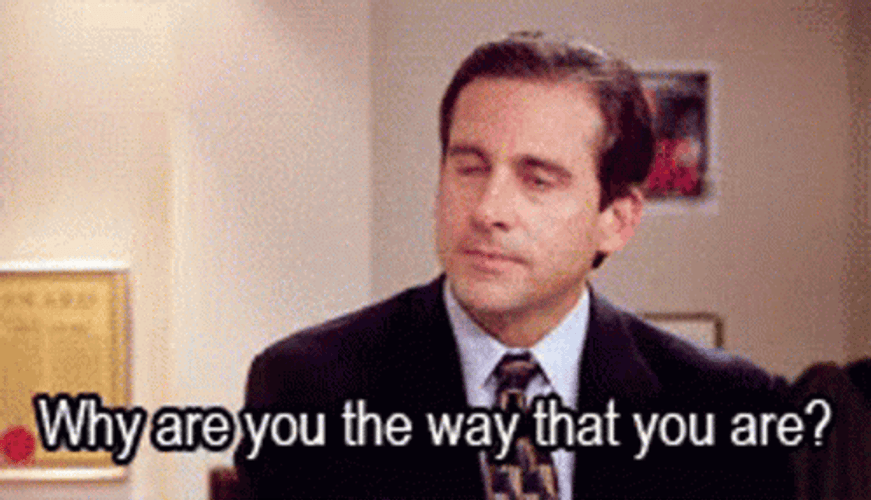 The Office Michael Scott Why GIF