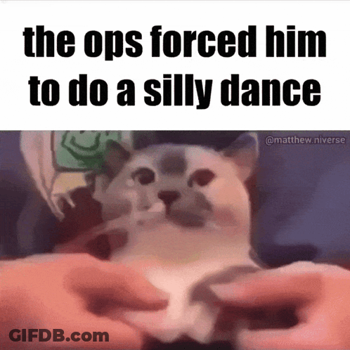 The Ops Forced Him To Do A Silly Dance With A Cat In The Foreground GIF