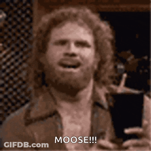 The Original 2004 GIF